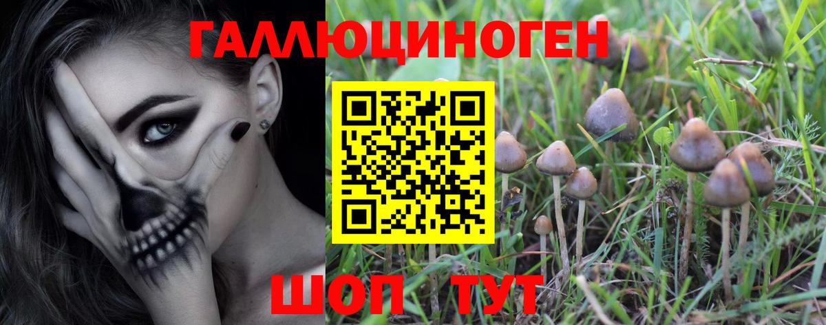 Псилоцибиновые грибы Magic Shrooms  Вход с VPN  Электросталь 