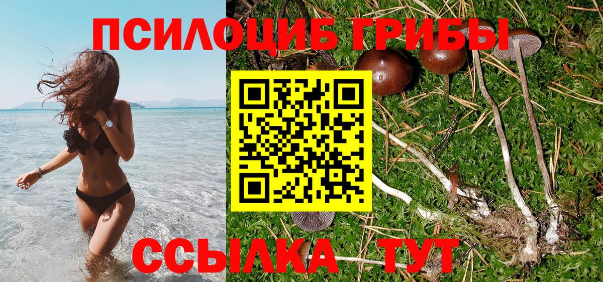 Галлюциногенные грибы Cubensis Электросталь